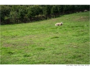 [소니 A7R II] 4K영상 활용하기, FE 24-70mm F4의 만남. - 체험단사용기 [소니 A7R II] 4K영상 활용하기, FE 24-70mm F4의 만남.