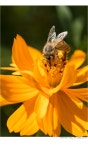 탐론 SP 90mm F2.8 Di MACRO 1:1 VC USD(90마) / 일상에 재미를 더해주는 또 다른 시선! - 체험단사용기 탐론 SP 90mm F2.8 Di MACRO 1:1 VC... 