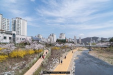 [A6300 체험단 리뷰 5주차] 5. a6300 체험단을 마치며 - 체험단사용기 [A6300 체험단 리뷰 5주차] 5. a6300 체험단을 마치며