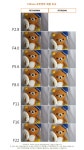 [FE렌즈 4기] 소니의 플래그쉽 망원렌즈 1호! 70200GM 사용기(2/2) - 체험단사용기 [FE렌즈 4기] 소니의 플래그쉽 망원렌즈 1호! 70200GM... 