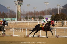 [A7R3 스포츠 체험단 ]#4 소니 A7R3와 경마장으로- 과천 경마장에서 경주마 담기 - 체험단사용기 [A7R3 스포츠 체험단 ]#4 소니 A7R3와... 
