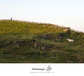 호야 신제품 FUSION ANTISTATIC UV 필터 체험후기 - 체험단사용기 호야 신제품 FUSION ANTISTATIC UV 필터 체험후기