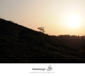 호야 신제품 FUSION ANTISTATIC UV 필터 체험후기 - 체험단사용기 호야 신제품 FUSION ANTISTATIC UV 필터 체험후기