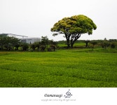 호야 신제품 FUSION ANTISTATIC UV 필터 체험후기 - 체험단사용기 호야 신제품 FUSION ANTISTATIC UV 필터 체험후기