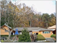 [M1033] 감나무가 있는 운치있는 집 - 코닥 Talk [M1033] 감나무가 있는 운치있는 집