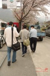 2008.04.12 대전 동학사,충대 출사 두번째! - 팝코넷 | 이벤트 갤러리 2008.04.12 대전 동학사,충대 출사  두번째!