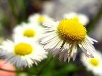 [p505]엠티 갔다가... - 기타 [p505]엠티 갔다가...