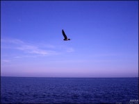 신선이 놀았다는 선유도로.. - 팝코넷 | 체험단 사용기 신선이 놀았다는 선유도로..