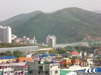 [Z60 체험단] 오후4시..줌테스트 & 크롬사진 - 기타 [Z60 체험단] 오후4시..줌테스트 & 크롬사진