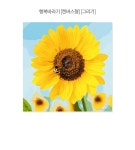 POOM | 행복바라기 (캔버스) DIY그리기 25x25 행복바라기 (캔버스) DIY그리기 25x25