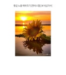 황금 노을 해바라기 (캔버스) 보석십자수 40x50 (원형큐빅) | 주식회사 퍼즐사랑 - 예스24