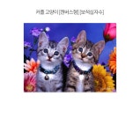 커플 고양이 (캔버스) 보석십자수 40x50 | 주식회사 퍼즐사랑 - 예스24