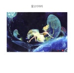 1000피스 직소퍼즐 - 물고기자리 | 주식회사 퍼즐사랑 - 예스24