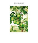 행운의 풋사과 나무 직소 퍼즐 풍수 1000피스 | 주식회사 퍼즐사랑 - 예스24