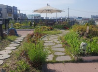 시민정원 1호 | 정원 | 사업지 소개 | 평택시 도시숲