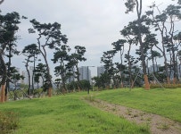 함박산중앙공원 | 주요공원 | 공원(프로그램)소개 | 평택시 도시숲