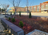 학교 숲 | 그 외 사업소개 | 사업지 소개 | 평택시 도시숲