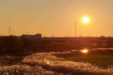 평택8경 | 평택에 가면 | 평택문화관광