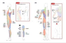 [AK] 6월 편집부 통신 #11 Muscle~!! - 정보방 - 뀨잉