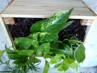 EXPERIENCE of PRIDE 래미안 EXPERIENCE of PRIDE, 래미안