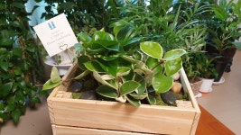 EXPERIENCE of PRIDE 래미안 EXPERIENCE of PRIDE, 래미안