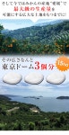송산지디아이 | 자사 재배/デコポン/달콤한/밀도/귤/감 농약 재배/산지 직 송/산지 직 송/번역/귤/이 터//낙천 최저가에 도전! | 라쿠텐 일본 Item Page