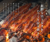 whiteshoji: 나고야에서 인기의 가게의 맛을 집에서.장어 장어구이의 시험 세트 장어구이 1마리※기프트상자는 선택해 받을 수 없습니다.... 