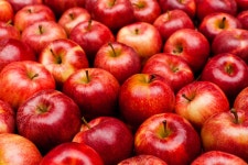 Healthy Snack Ideas Approved By Nutritionists | Readers Digest 17 On-The-Go Snacks Nutritionists Always Keep in Their Bags