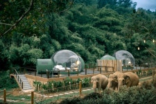Bucket List Trips To Plan A Year In Advance | Readers Digest 13 Bucket List Trips To Plan A Year In Advance