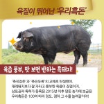상세보기 < 카드뉴스< 홍보콘텐츠 < 정책홍보 < 농촌진흥청 [카드뉴스]기해년(己亥年) 맞이 돼지 이야기 ②편 _ 우리 돼지 활약이 기대돼지 