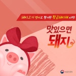상세보기 < 카드뉴스< 홍보콘텐츠 < 정책홍보 < 농촌진흥청 [카드뉴스]맛있으면 돼지~
