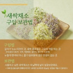 상세보기 < 카드뉴스< 홍보콘텐츠 < 정책홍보 < 농촌진흥청 [카드뉴스]봄 내음 솔솔~새싹채소