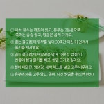 상세보기 < 카드뉴스< 홍보콘텐츠 < 정책홍보 < 농촌진흥청 [카드뉴스]봄 내음 솔솔~새싹채소