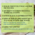 이달의 식재료 참다래 < 카드뉴스< 홍보콘텐츠 < 정책홍보 < 농촌진흥청 [카드뉴스]이달의 식재료 참다래