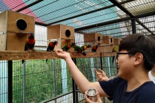 상세보기 < 농촌지방소식< 새소식 < 정책홍보 < 농촌진흥청 [농촌지방소식]코로나19 클린사업장 도내 26개소 선정