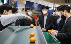 딥러닝 기반 농산물선별시스템 적용 사업소 방문 < 인물/동정< 새소식 < 정책홍보 < 농촌진흥청 [인물/동정]딥러닝 기반 농산물선별시스템 적용... 