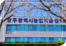 상세보기 < 새소식 < 정책홍보 < 농촌진흥청 [농촌지방소식]광주광역시농업기술센터,  품목별 영농현장 교육생 모집