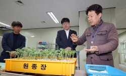 제주 지역 현장 방문 < 인물/동정< 새소식 < 정책홍보 < 농촌진흥청 [인물/동정]제주 지역 현장 방문