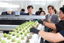 수직농장 수출기업 현장 소통 < 인물/동정< 새소식 < 정책홍보 < 농촌진흥청 [인물/동정]수직농장 수출기업 현장 소통