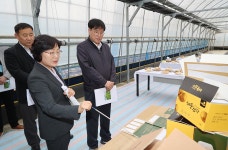 실증시범 농장 찾아 현장 의견 수렴 < 인물/동정< 새소식 < 정책홍보 < 농촌진흥청 [인물/동정]실증시범 농장 찾아 현장 의견 수렴 