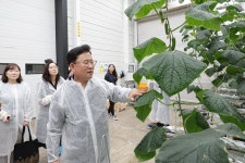 대한제강 스마트팜 < 인물/동정< 새소식 < 정책홍보 < 농촌진흥청 [인물/동정]대한제강 스마트팜