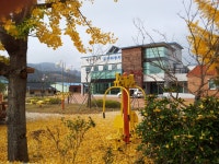 상세보기 < 농촌지방소식< 새소식 < 정책홍보 < 농촌진흥청 [농촌지방소식][의령] 경남 의령군 귀농귀촌두드림창업교육 수강생 모집