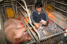 우리 농업, 희망이 보여 미래를 맡겼어요 < 농촌지방소식< 새소식 < 정책홍보 < 농촌진흥청 [농촌지방소식]우리 농업, 희망이 보여 미래를 맡겼어요