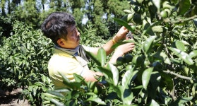 그린매거진 그린매거진 vol. 181