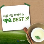 상세보기 < 카드뉴스< 홍보콘텐츠 < 정책홍보 < 농촌진흥청 [카드뉴스]여름건강 지켜주는 약초 BEST 3! 
