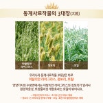 상세보기 < 카드뉴스< 홍보콘텐츠 < 정책홍보 < 농촌진흥청 [카드뉴스]인테러뱅 호밀