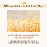 상세보기 < 카드뉴스< 홍보콘텐츠 < 정책홍보 < 농촌진흥청 [카드뉴스]인테러뱅 호밀
