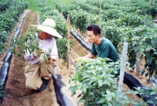 농촌 소식/행사 - 농사로 농업기술포털 농촌 소식/행사