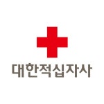 3.0 색상 규정