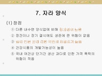 자라에 대하여(자라양식)